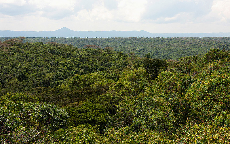 Nairobi