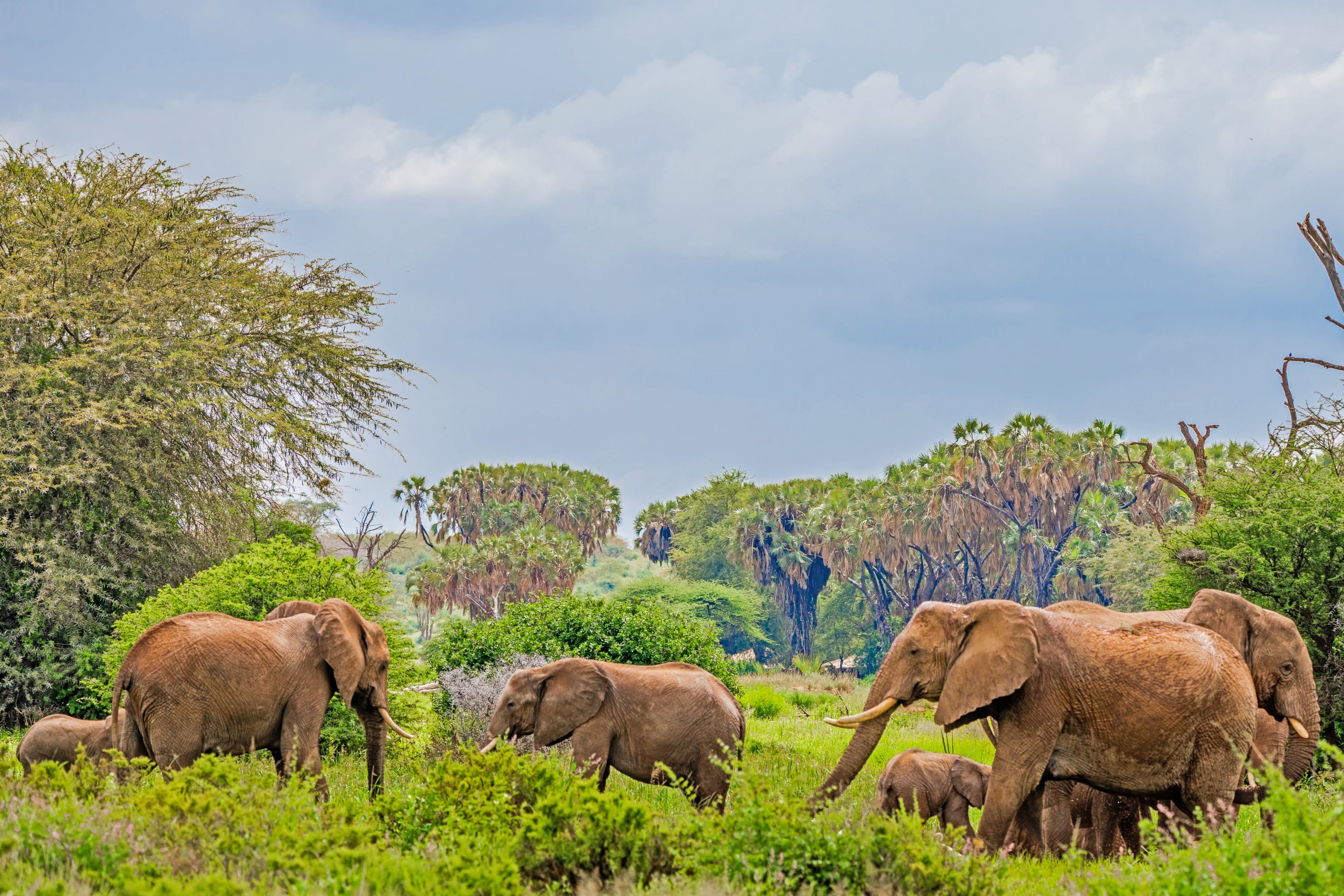 Nairobi